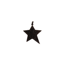 Load image into Gallery viewer, Madison Hayes - Star Pave Pendant
